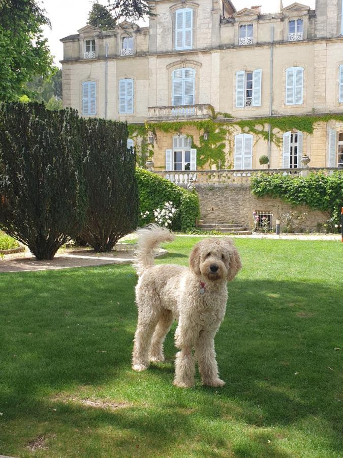 Sauveterre  Chateau De Varenne מראה חיצוני תמונה